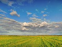 image_1034585.jpg