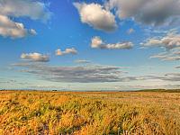 image_1034586.jpg