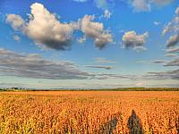 image_1034587.jpg