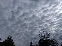 image_1034653.jpg