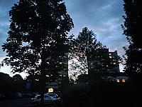 Fotografie