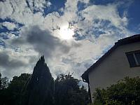 Olešná