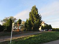 image_1034859.jpg