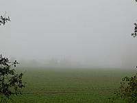 Fotografie