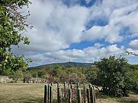 image_1034931.jpg