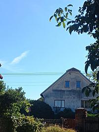 Třibřichy