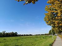 Kopřivnice, Vlčovice