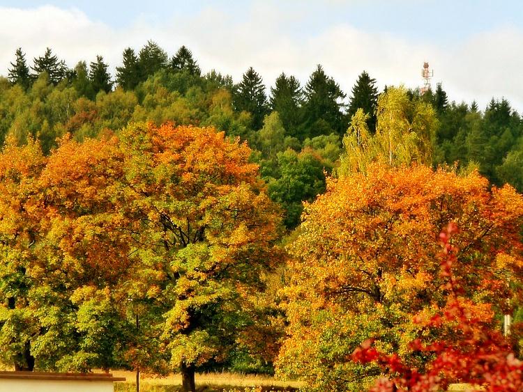 Olešnice na Moravě