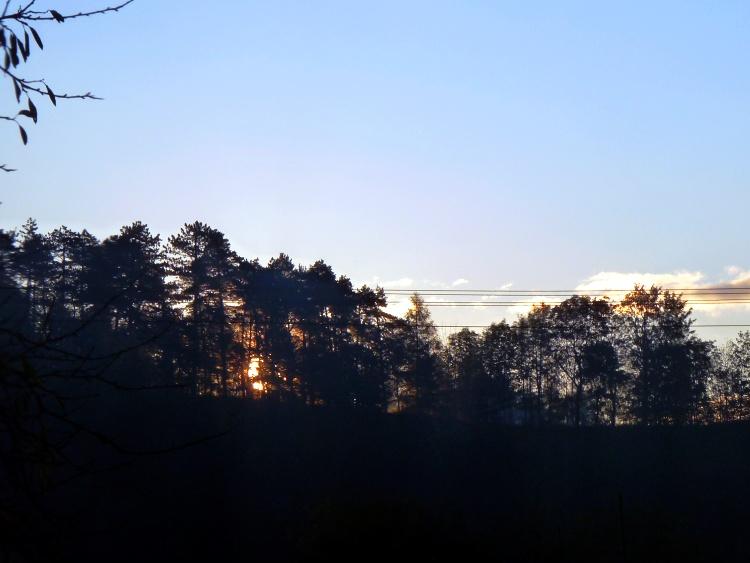 Olešnice na Moravě