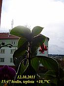 Slavičín, sídliště Vlára