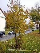 Slavičín, sídliště Vlára