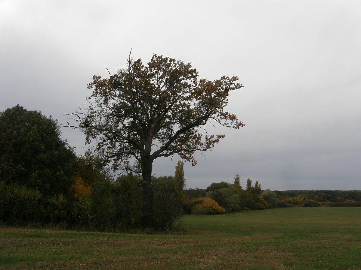 Dětenice-Brodek, okr. Jičín