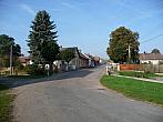 Třibřichy