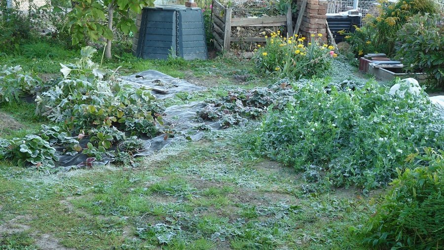 Olešnice na Moravě