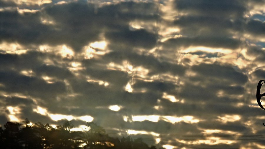 Olešnice na Moravě