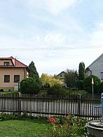 Třibřichy