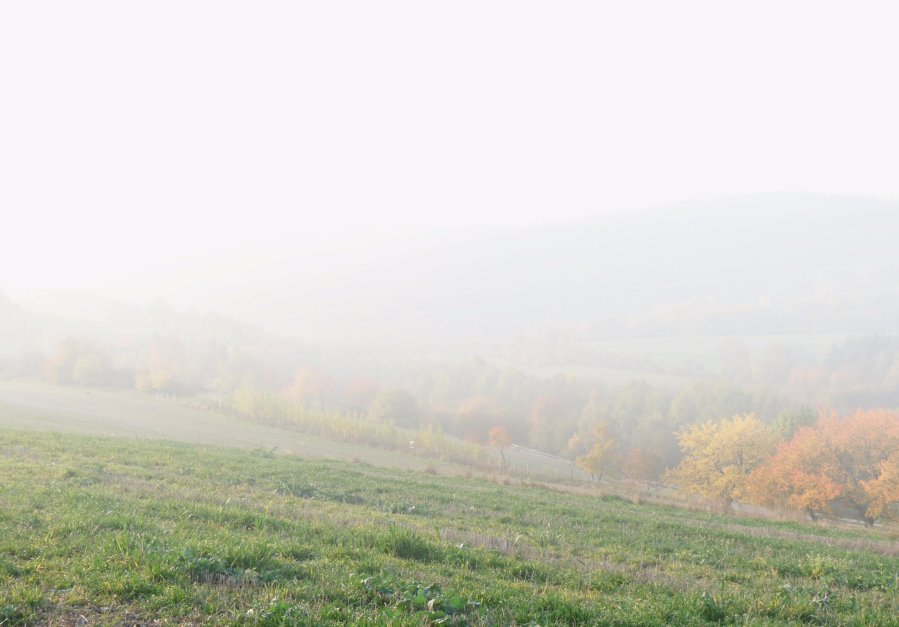 Olešnice na Moravě