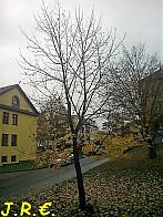 Slavičín, sídliště Vlára