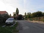 Třibřichy