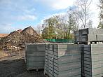 Třibřichy
