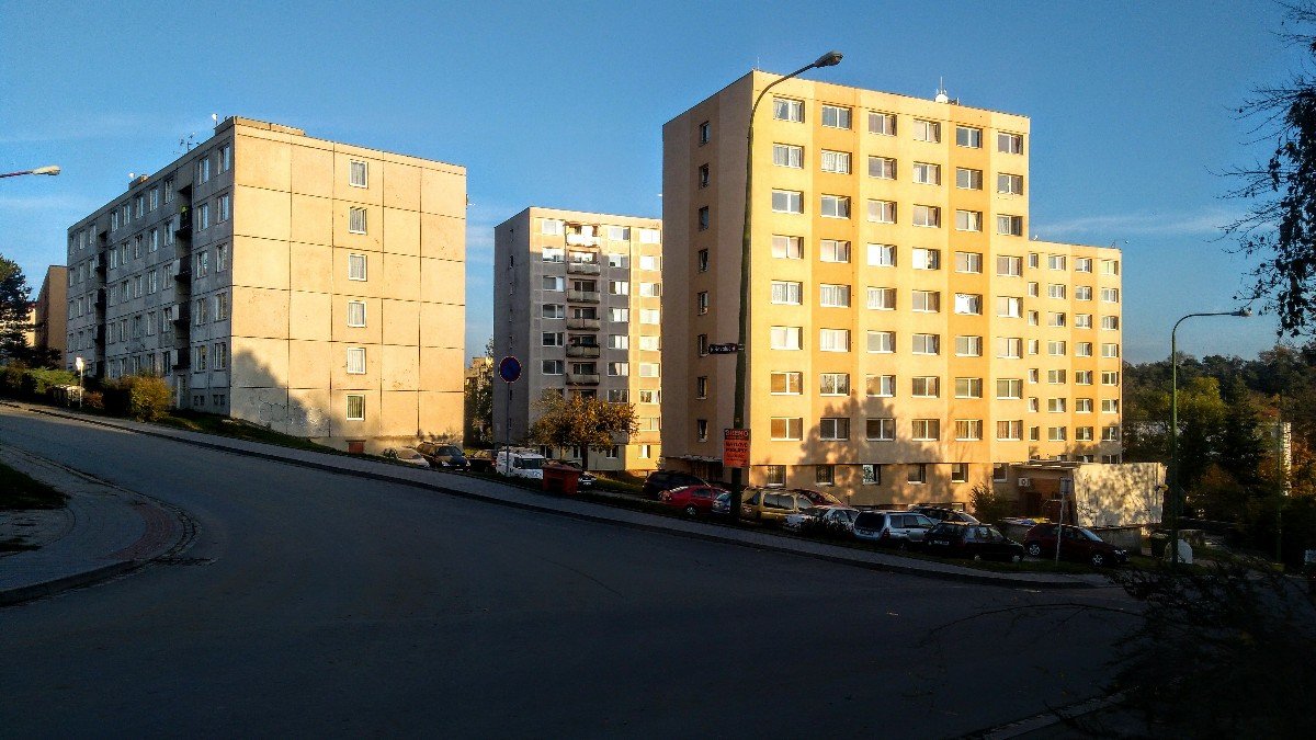 Borovina