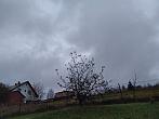 Skalité