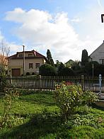 Třibřichy