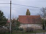 Třibřichy