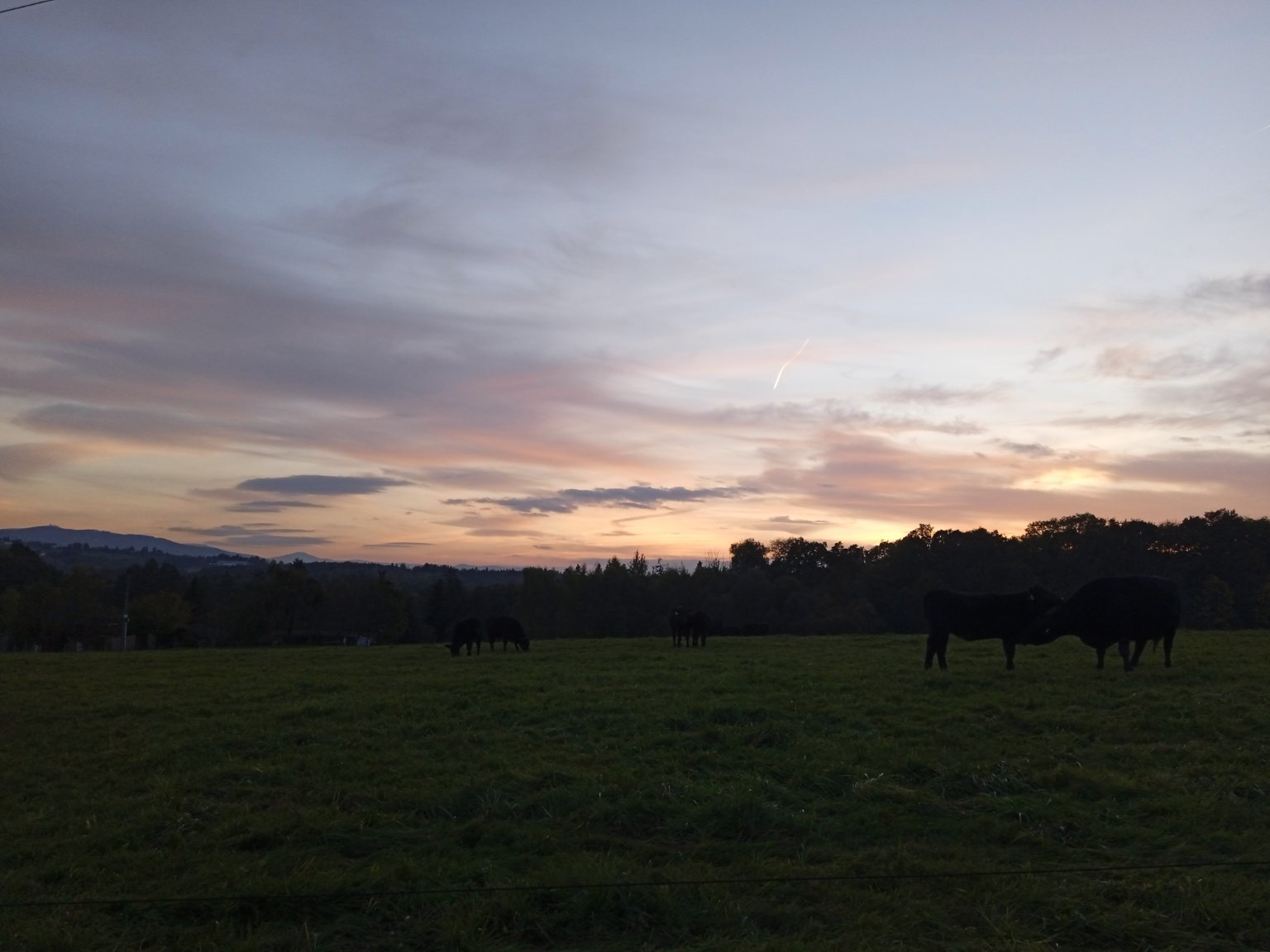 Mosty u Českého Těšína