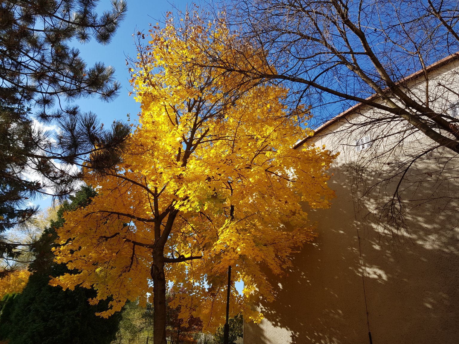 Jablunkov lesní 190