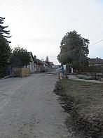 Třibřichy