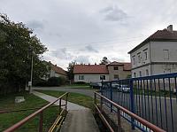Třibřichy