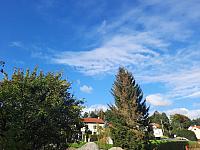 Olešná