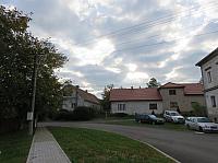 Třibřichy