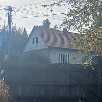 Třibřichy
