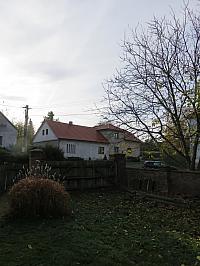 Třibřichy