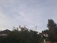 Olešná