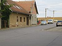 Třibřichy