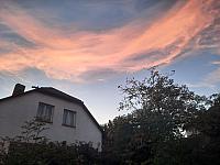 Olešná