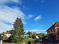 Olešná