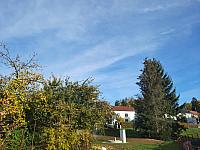Olešná