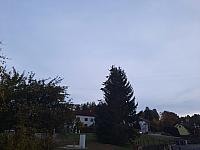 Olešná