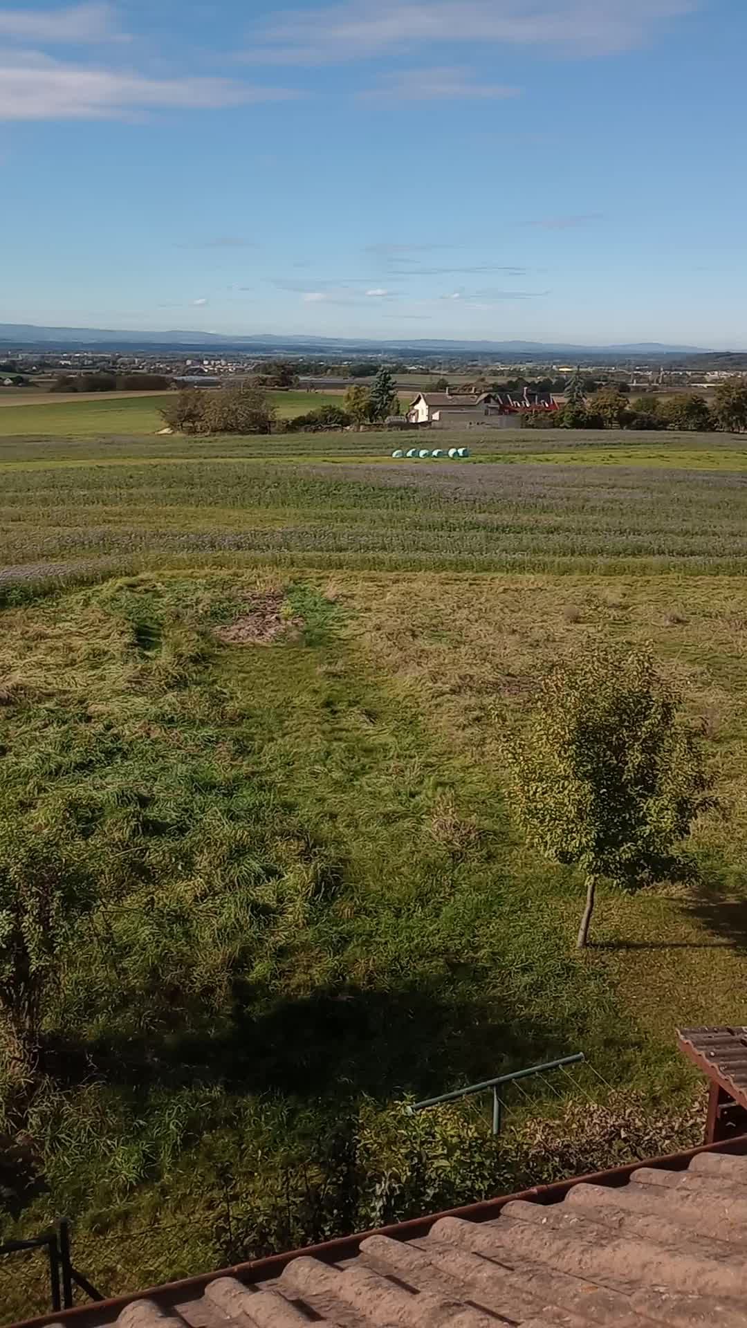 Adamov u Českých Budějovic