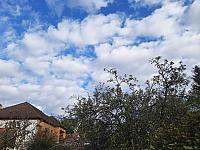 Olešná