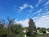 Olešná