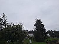 Olešná