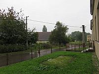 Třibřichy