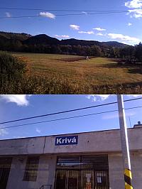Krivá