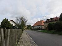 Třibřichy