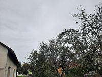Olešná